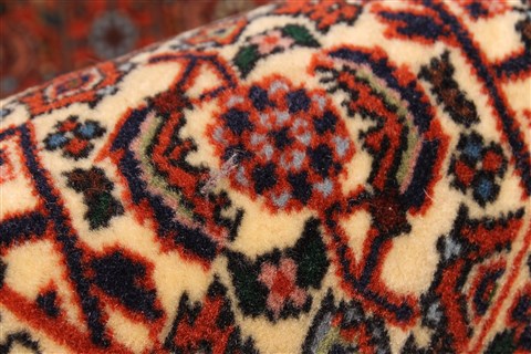 Bidjar Beige Hand Knotted 100 X 122 Area Rug 250-30488 Image 7