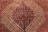 Bidjar Beige Hand Knotted 100 X 122  Area Rug 250-30488 Thumb 12