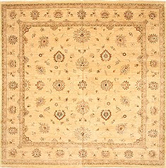 Indian Ziegler Beige Square 9 ft and Larger Wool Carpet 30503