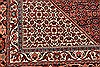Bidjar Beige Hand Knotted 113 X 128 Area Rug 250-30510 Thumb 2