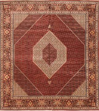 Bidjar Beige Hand Knotted 11'3" X 12'8"  Area Rug 250-30510
