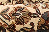 Kashan Beige Hand Knotted 91 X 182 Area Rug 250-30546 Thumb 7