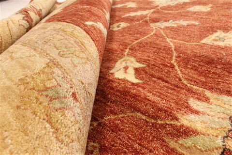 Ziegler Beige Hand Knotted 120 X 183 Area Rug 250-30566 Image 7