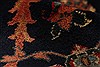 Semnan Red Hand Knotted 1111 X 178 Area Rug 250-30569 Thumb 11