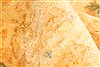 Kerman Beige Hand Knotted 115 X 2111 Area Rug 250-30657 Thumb 10