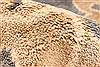 Oushak Beige Hand Knotted 81 X 100 Area Rug 256-30742 Thumb 10