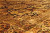 Jaipur Black Hand Knotted 91 X 114 Area Rug 301-30819 Thumb 2