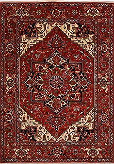 Serapi Red Hand Knotted 9'9" X 13'7"  Area Rug 301-30924