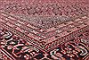 Bidjar Red Hand Knotted 1110 X 150  Area Rug 301-30968 Thumb 2