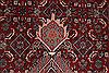 Bidjar Red Hand Knotted 1110 X 150  Area Rug 301-30968 Thumb 6