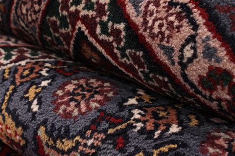 Bidjar Red Hand Knotted 121 X 1410 Area Rug 301-30970 Image 8