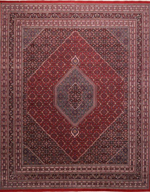 Bidjar Red Hand Knotted 121 X 1410 Area Rug 301-30970 Image 0