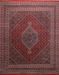 Bidjar Red Hand Knotted 12'1" X 14'10"  Area Rug 301-30970