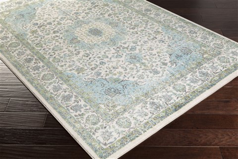 Surya Aberdine Green 52 X 76 Area Rug ABE8004-5276 800-31158 Image 1