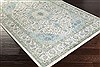 Surya Aberdine Green 76 X 106 Area Rug ABE8004-76106 800-31159 Thumb 1