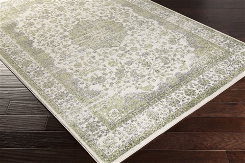 Surya Aberdine Green 52 X 76 Area Rug ABE8006-5276 800-31164 Image 1
