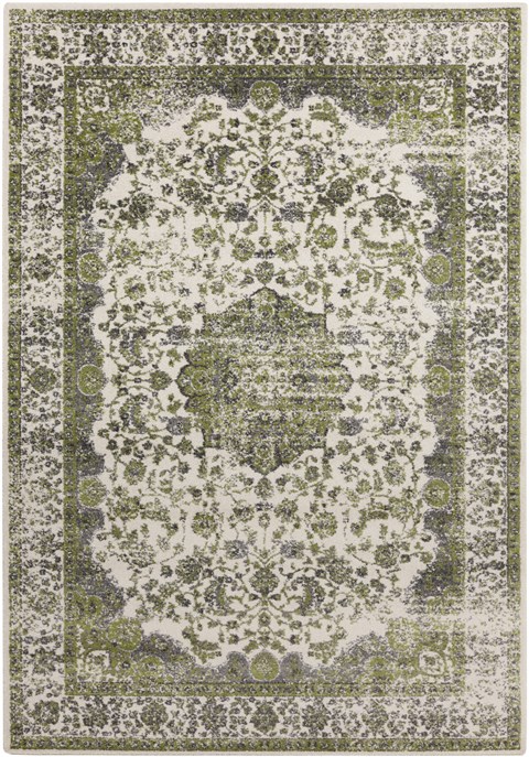 Surya Aberdine Green 52 X 76 Area Rug ABE8006-5276 800-31164 Image 0