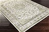 Surya Aberdine Green 52 X 76 Area Rug ABE8006-5276 800-31164 Thumb 1