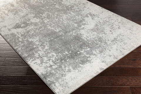 Surya Aberdine Grey 52 X 76 Area Rug ABE8013-5276 800-31176 Image 1
