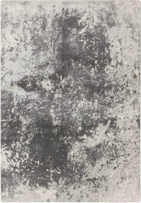 Surya Aberdine Grey 52 X 76 Area Rug ABE8013-5276 800-31176 Image 0