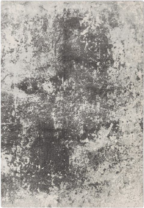 Surya Aberdine Grey 76 X 106 Area Rug ABE8013-76106 800-31177 Image 0