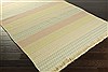 Surya Amber Green 50 X 80 Area Rug ABR6000-58 800-31485 Thumb 1