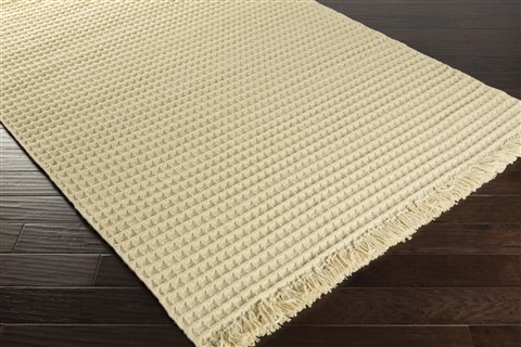 Surya Amber Green 40 X 60 Area Rug ABR6001-46 800-31488 Image 1