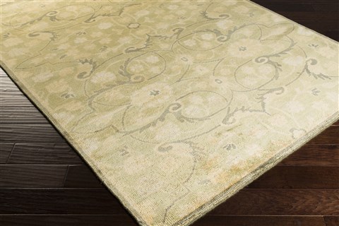 Surya Ainsley Green 39 X 59 Area Rug AIN1013-3959 800-31901 Image 1