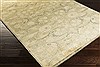 Surya Ainsley Green 39 X 59 Area Rug AIN1013-3959 800-31901 Thumb 1