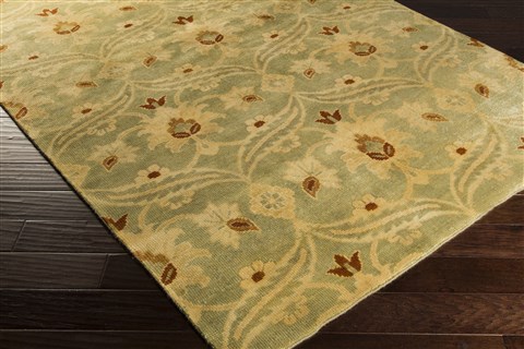 Surya Ainsley Green 56 X 86 Area Rug AIN1014-5686 800-31908 Image 1