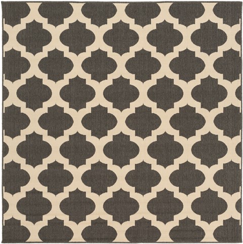 Surya Alfresco Black Square 73 X 73 Area Rug ALF9584-73SQ 800-31986 Image 0