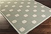 Surya Alfresco Green 36 X 56 Area Rug ALF9606-3656 800-32350 Thumb 1