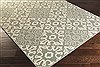 Surya Alfresco Green 60 X 90 Area Rug ALF9634-69 800-32717 Thumb 1