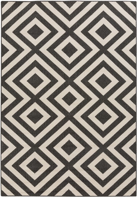Surya Alfresco Black 36 X 56 Area Rug ALF9639-3656 800-32780 Image 0
