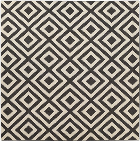 Surya Alfresco Black Square 89 X 89 Area Rug ALF9639-89SQ 800-32789 Image 0