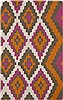 Surya Alameda Orange 50 X 80 Area Rug AMD1028-58 800-33166 Thumb 0