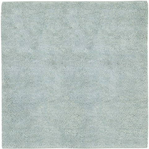 Surya Aros Green Square 80 X 80 Area Rug AROS11-8SQ 800-33704 Image 0