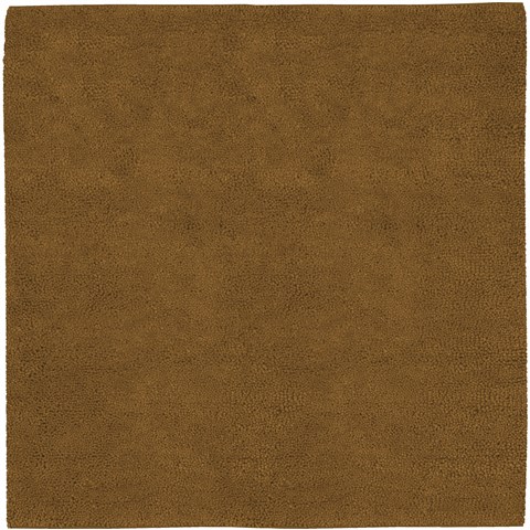 Surya Aros Brown Square 80 X 80 Area Rug AROS4-8SQ 800-33754 Image 0