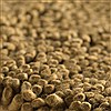 Surya Aros Brown Square 80 X 80 Area Rug AROS4-8SQ 800-33754 Thumb 3