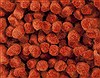 Surya Aros Red Runner 40 X 100 Area Rug AROS5-410 800-33760 Thumb 6