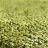Surya Aros Green Runner 26 X 80 Area Rug AROS6-268 800-33768 Thumb 5