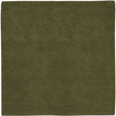 Surya Aros Green Square 80 X 80 Area Rug AROS7-8SQ 800-33784 Image 0