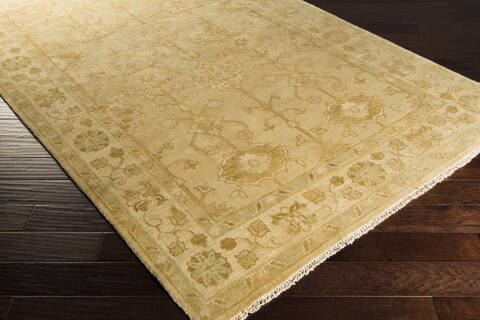Surya Antique White 20 X 30 Area Rug ATQ1003-23 800-34925 Image 1