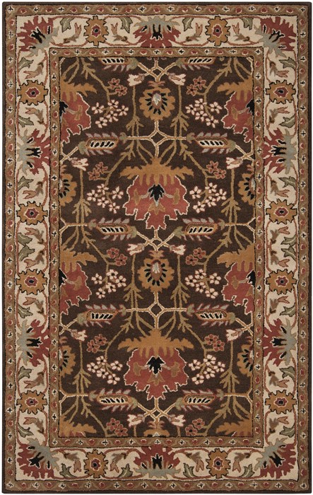 Surya Aurora Brown 50 X 80 Area Rug AUR1031-58 800-35072 Image 0