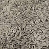 Surya Blossom Grey 80 X 100 Area Rug BLO1002-810 800-36093 Thumb 3