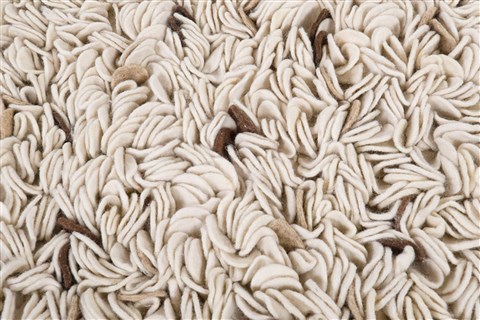 Surya Blossom White 20 X 30 Area Rug BLO1004-23 800-36094 Image 6