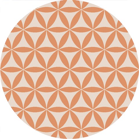 Surya Brentwood Orange Round 60 X 60 Area Rug BNT7696-6RD 800-36269 Image 0