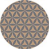 Surya Brentwood Brown Round 60 X 60 Area Rug BNT7697-6RD 800-36277 Thumb 0