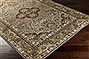 Surya Basilica Brown 52 X 76 Area Rug BSL7202-5276 800-36617 Thumb 1