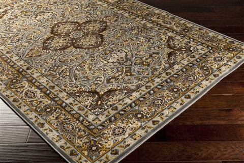 Surya Basilica Brown 76 X 106 Area Rug BSL7202-76106 800-36618 Image 1